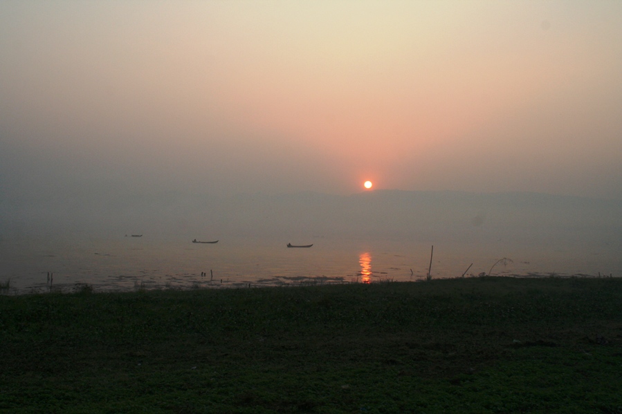 甲刺鱼