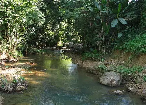 Badis khwae