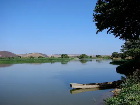 Leporinus copelandii