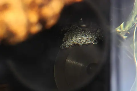 副棘鲷