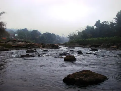条纹沙鳅