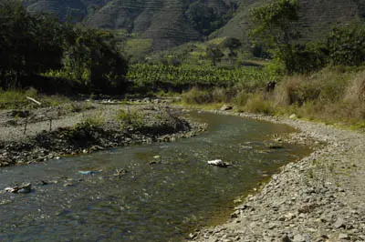 Schistura kloetzliae