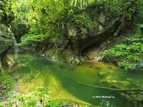 双斑裂峡魮