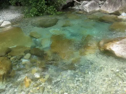 河川吻鰕虎鱼
