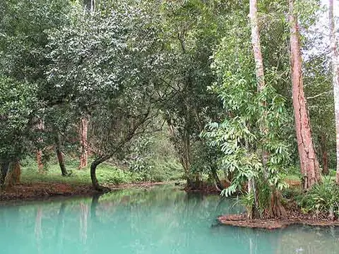 塘搏鱼