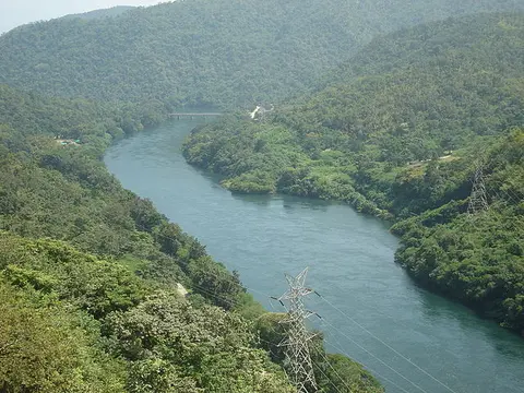 圆斑南鳅