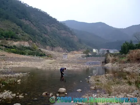 雀斑吻鰕虎鱼