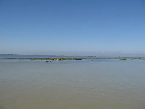 沼泽无须魮